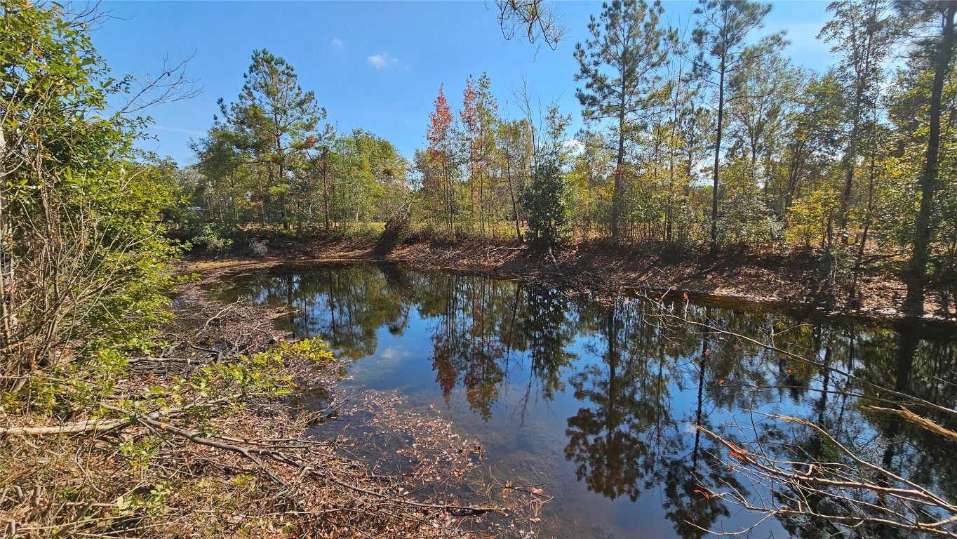 17539 Hodges Road Hilliard, FL 32046 - Photo 9 of 62 a view of a lake with lots of trees