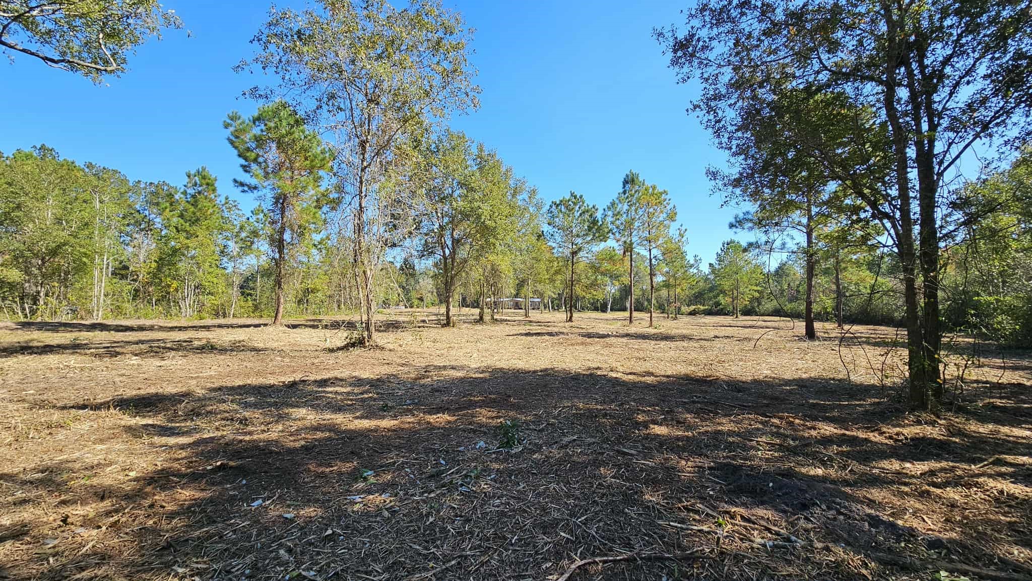 17539 Hodges Road Hilliard, FL 32046 - Photo 9 of 19