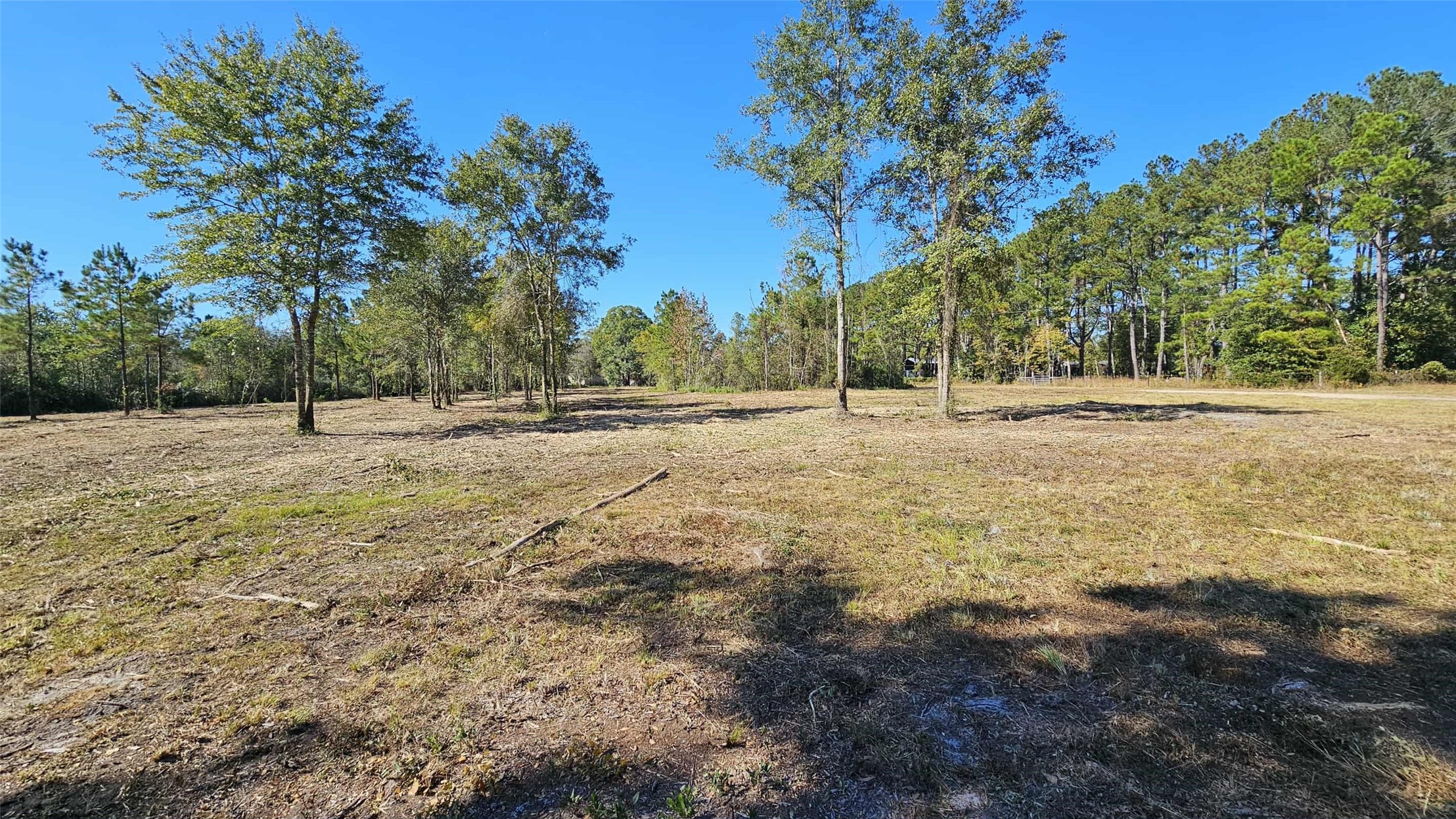 17539 Hodges Road Hilliard, FL 32046 - Photo 10 of 19