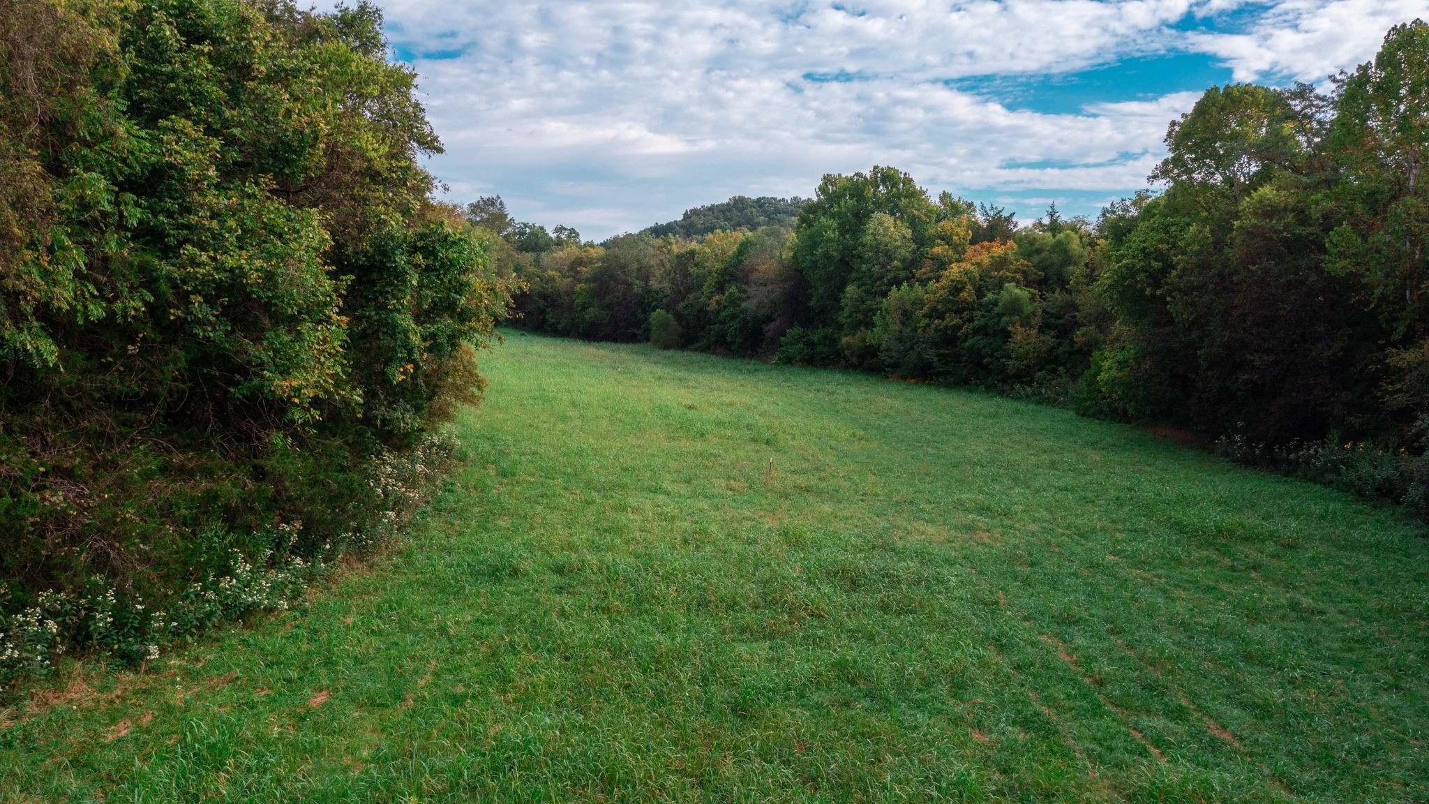 0 Incline Road Belvidere, TN 37306 - Photo 11 of 33