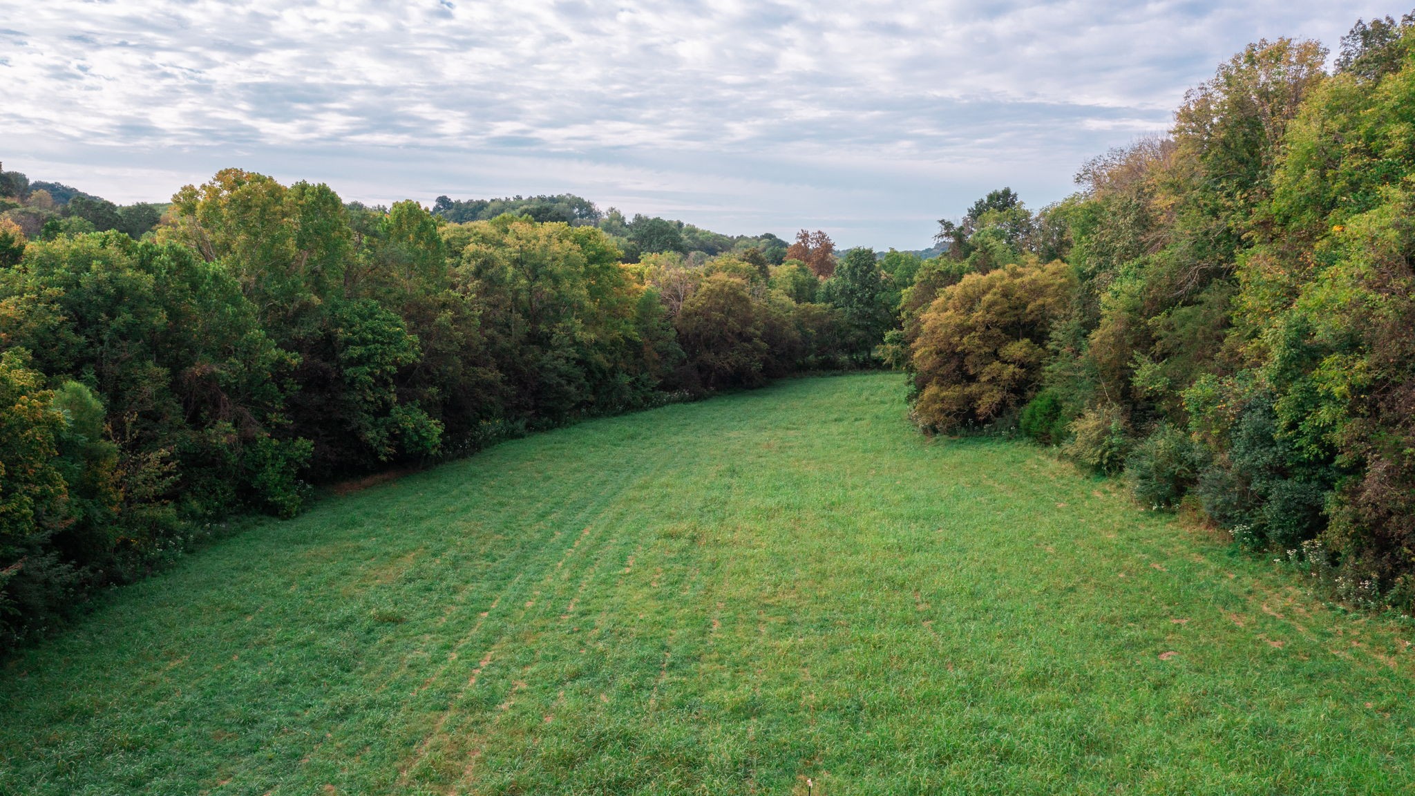 0 Incline Road Belvidere, TN 37306 - Photo 12 of 33