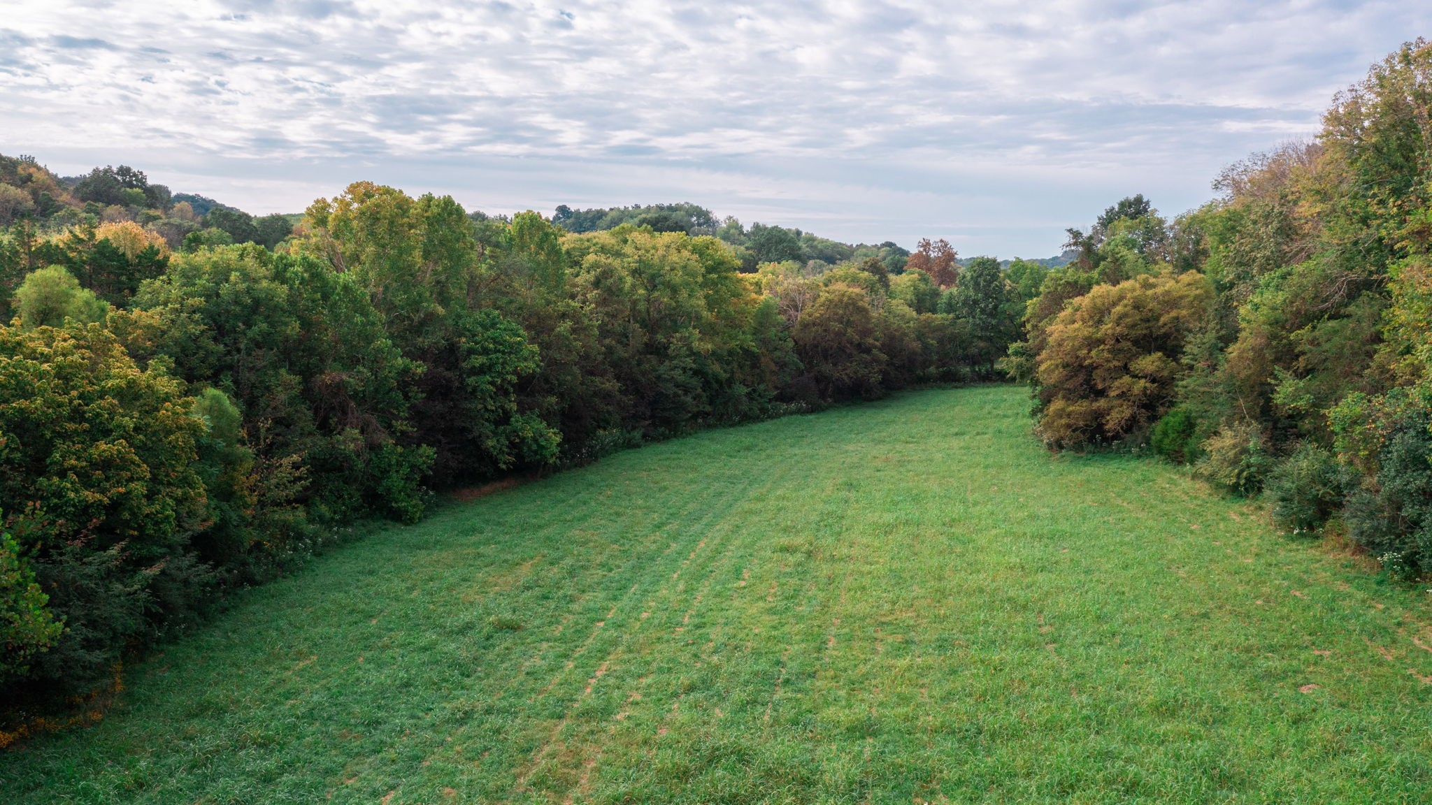 0 Incline Road Belvidere, TN 37306 - Photo 13 of 33