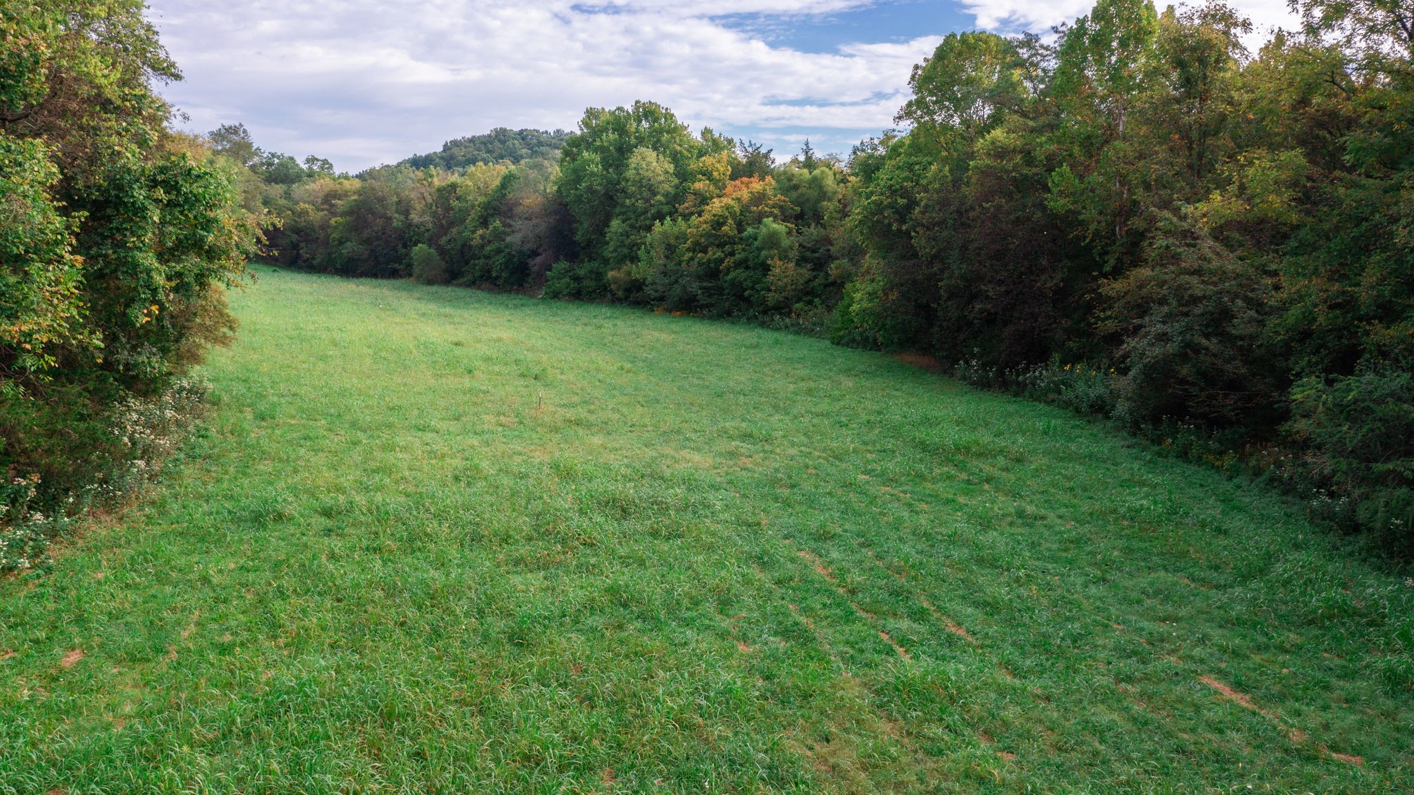 0 Incline Road Belvidere, TN 37306 - Photo 14 of 33