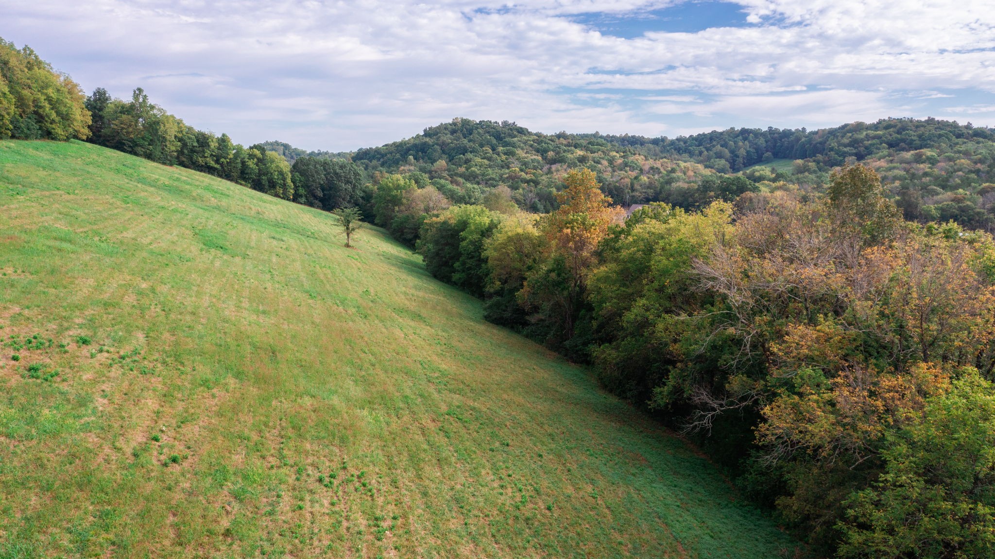 0 Incline Road Belvidere, TN 37306 - Photo 16 of 33