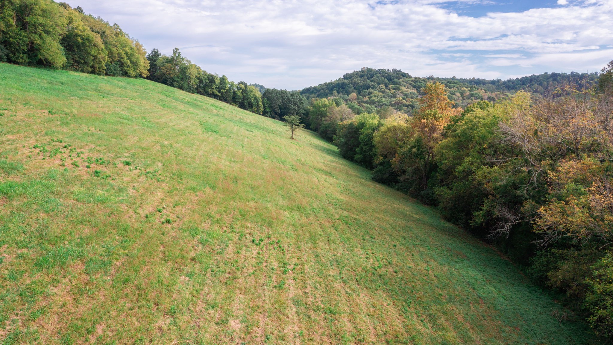 0 Incline Road Belvidere, TN 37306 - Photo 17 of 33