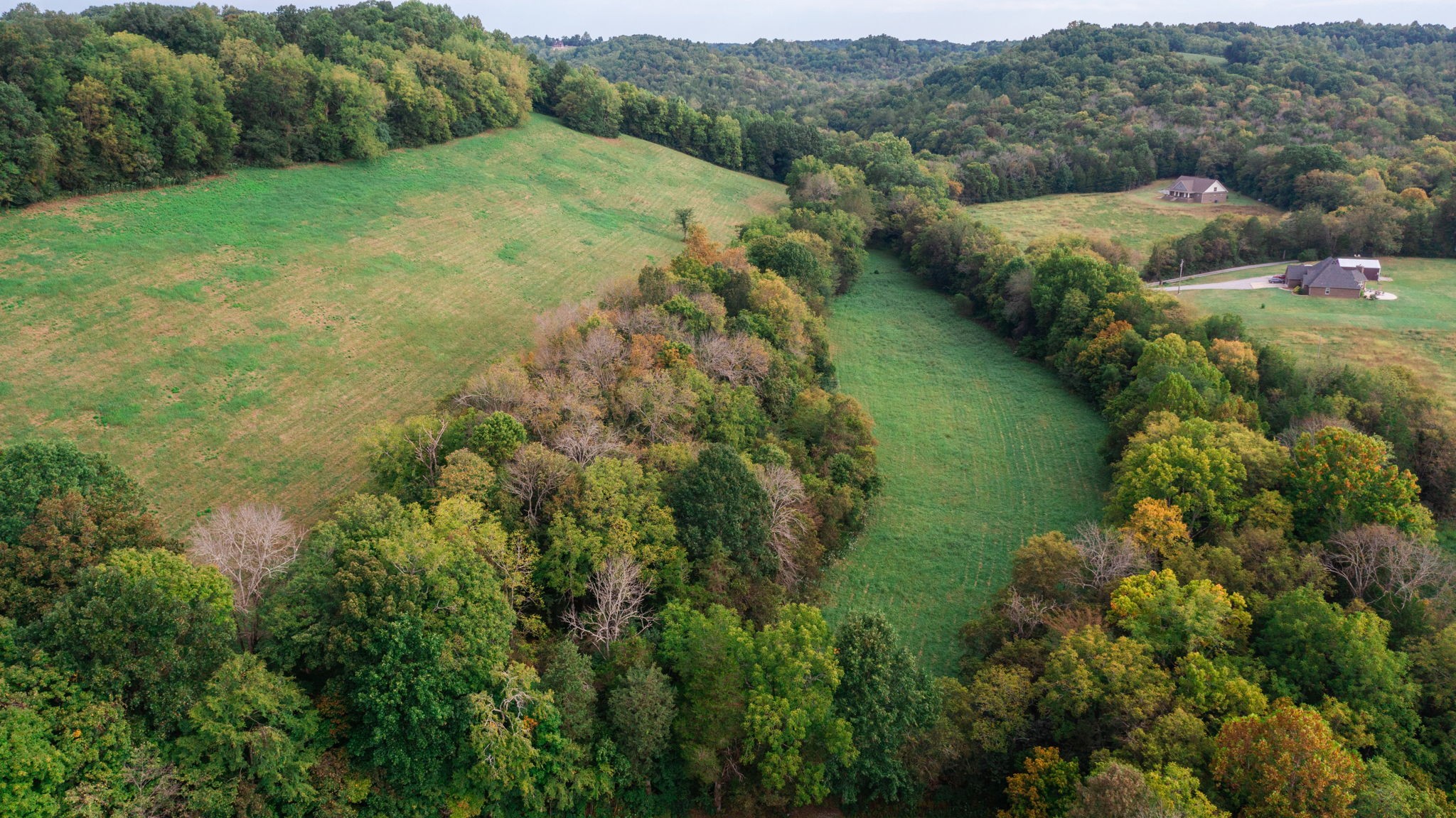 0 Incline Road Belvidere, TN 37306 - Photo 18 of 33