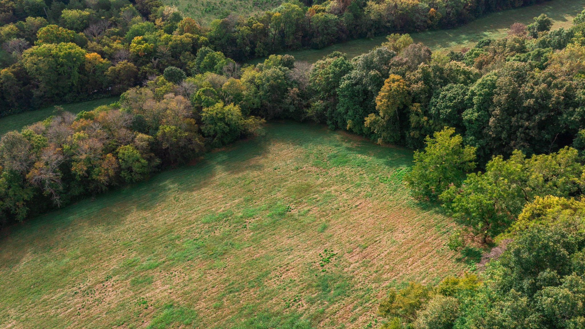 0 Incline Road Belvidere, TN 37306 - Photo 19 of 33