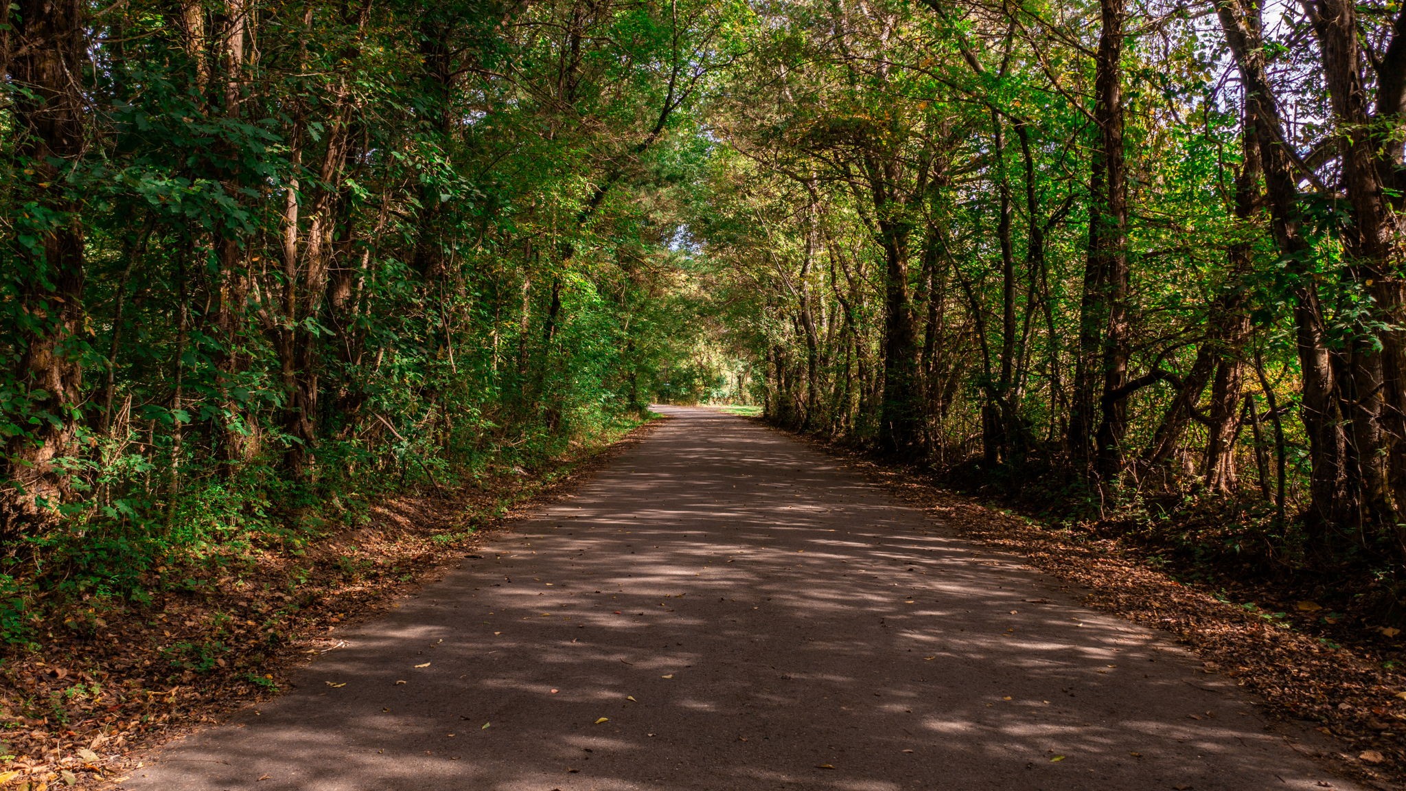 0 Incline Road Belvidere, TN 37306 - Photo 2 of 33