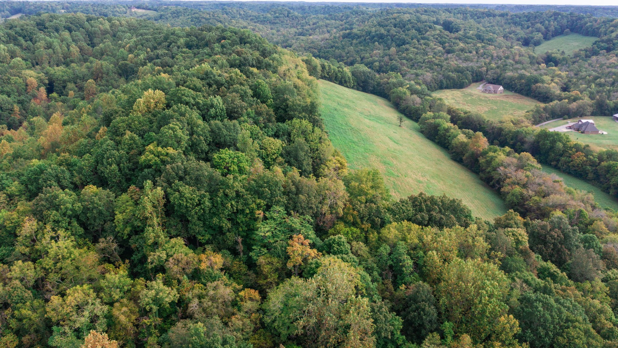 0 Incline Road Belvidere, TN 37306 - Photo 21 of 33