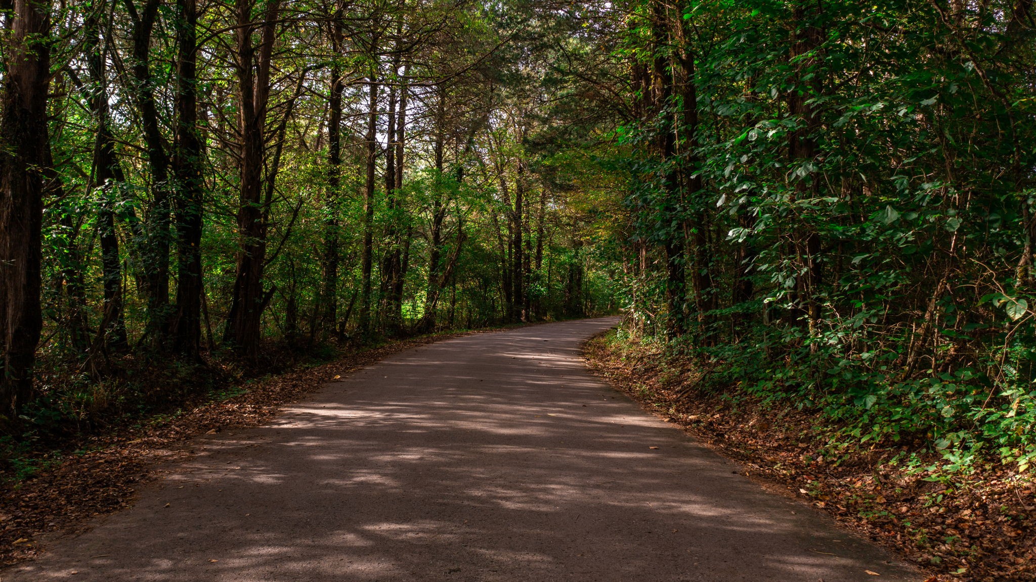 0 Incline Road Belvidere, TN 37306 - Photo 3 of 33