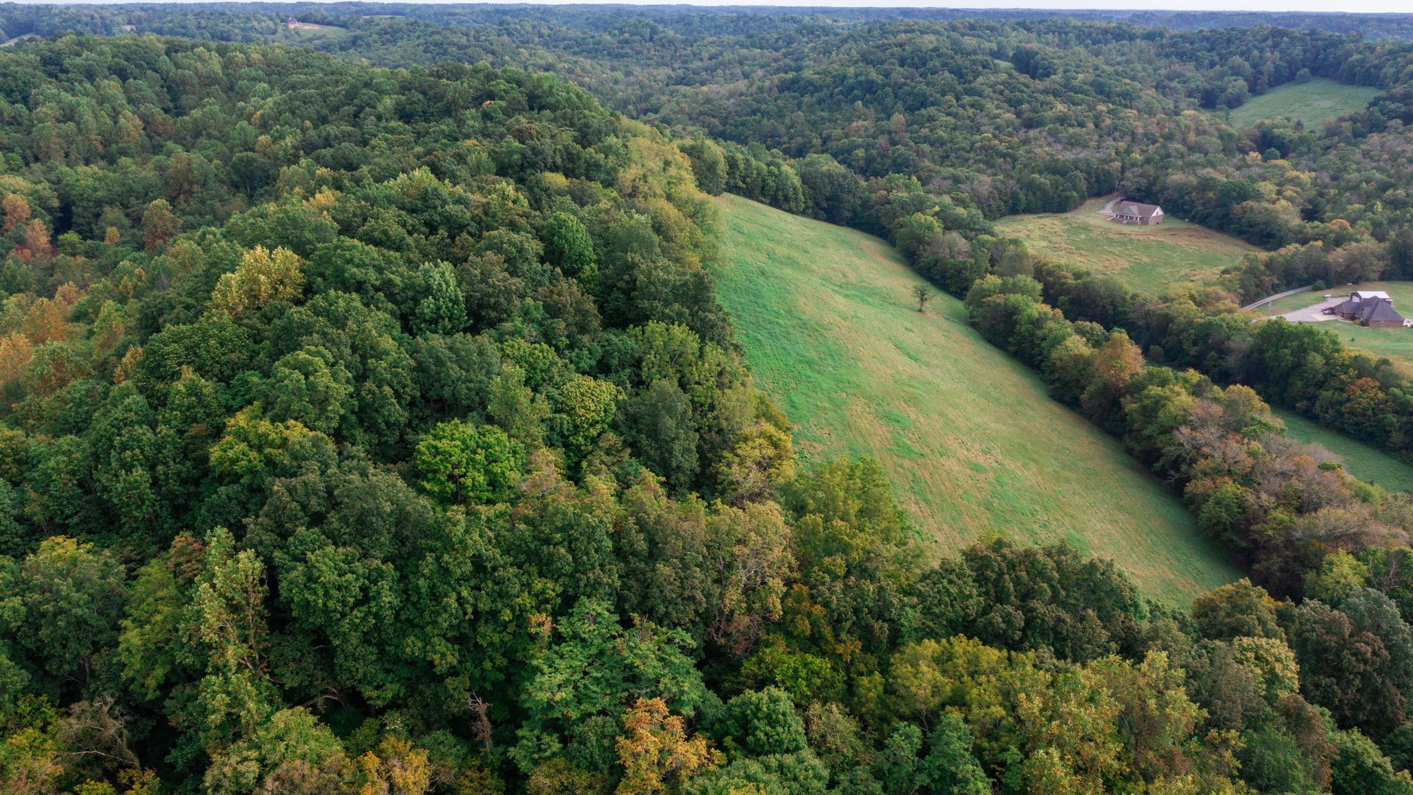 0 Incline Road Belvidere, TN 37306 - Photo 31 of 33
