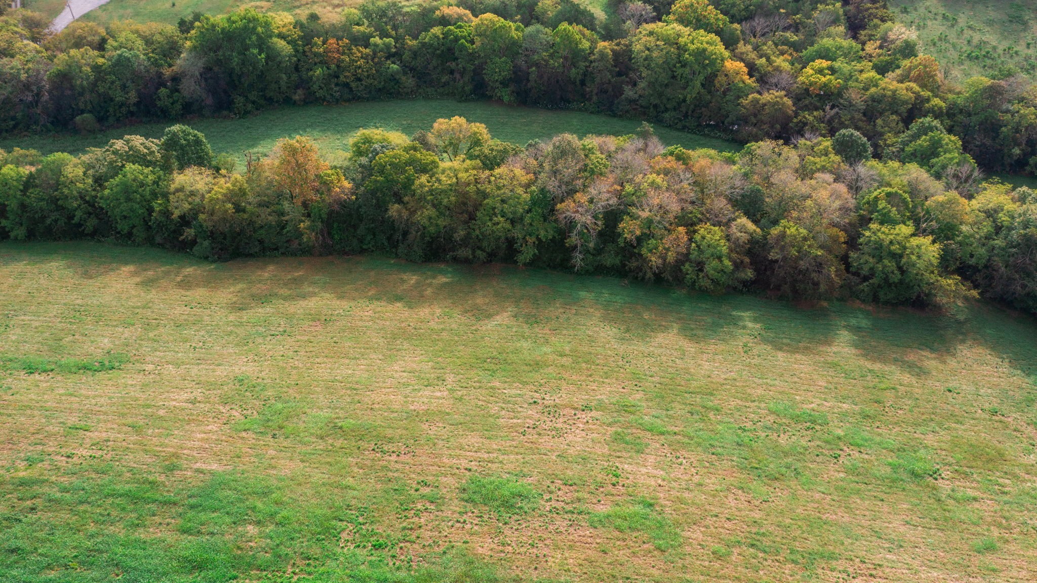 0 Incline Road Belvidere, TN 37306 - Photo 5 of 33