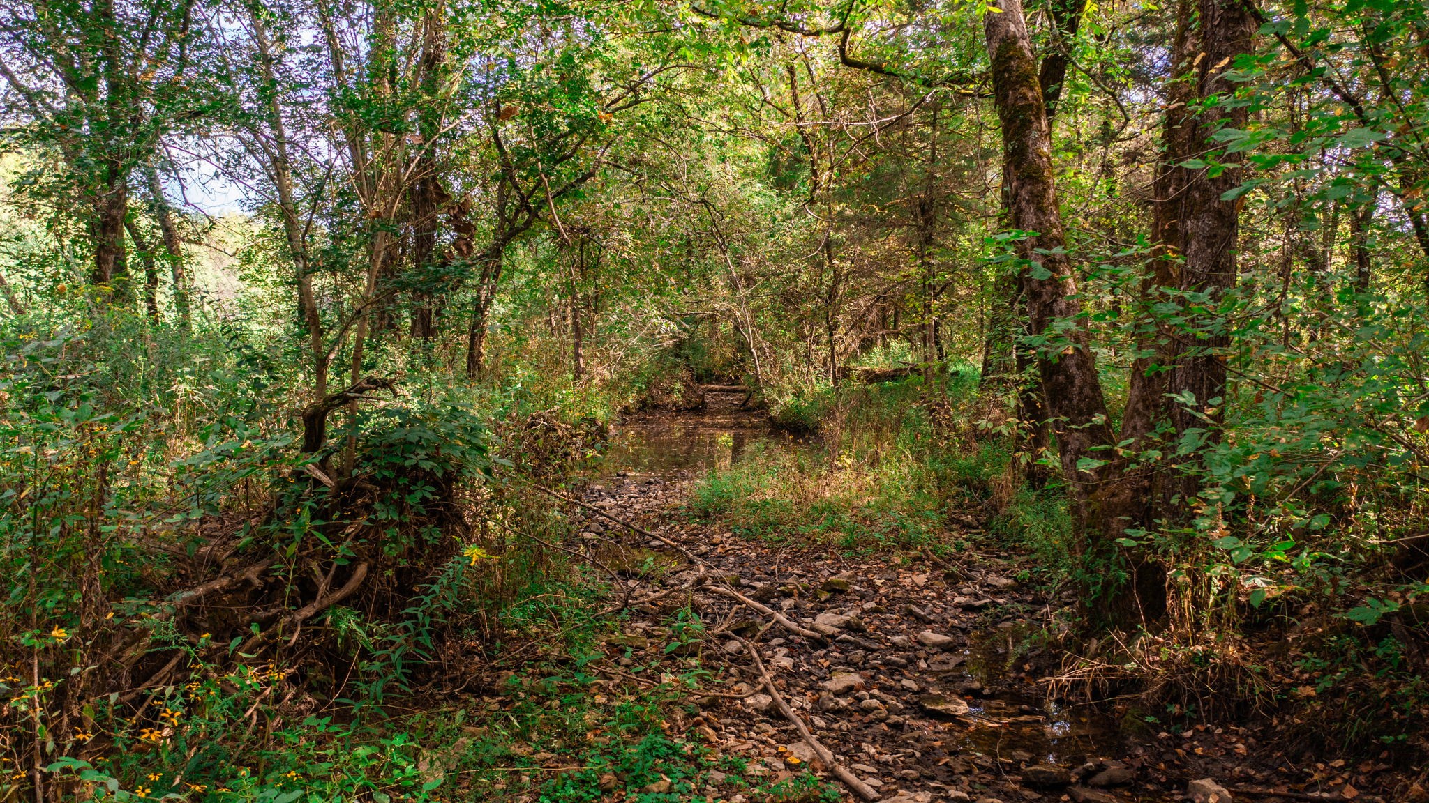 0 Incline Road Belvidere, TN 37306 - Photo 8 of 33