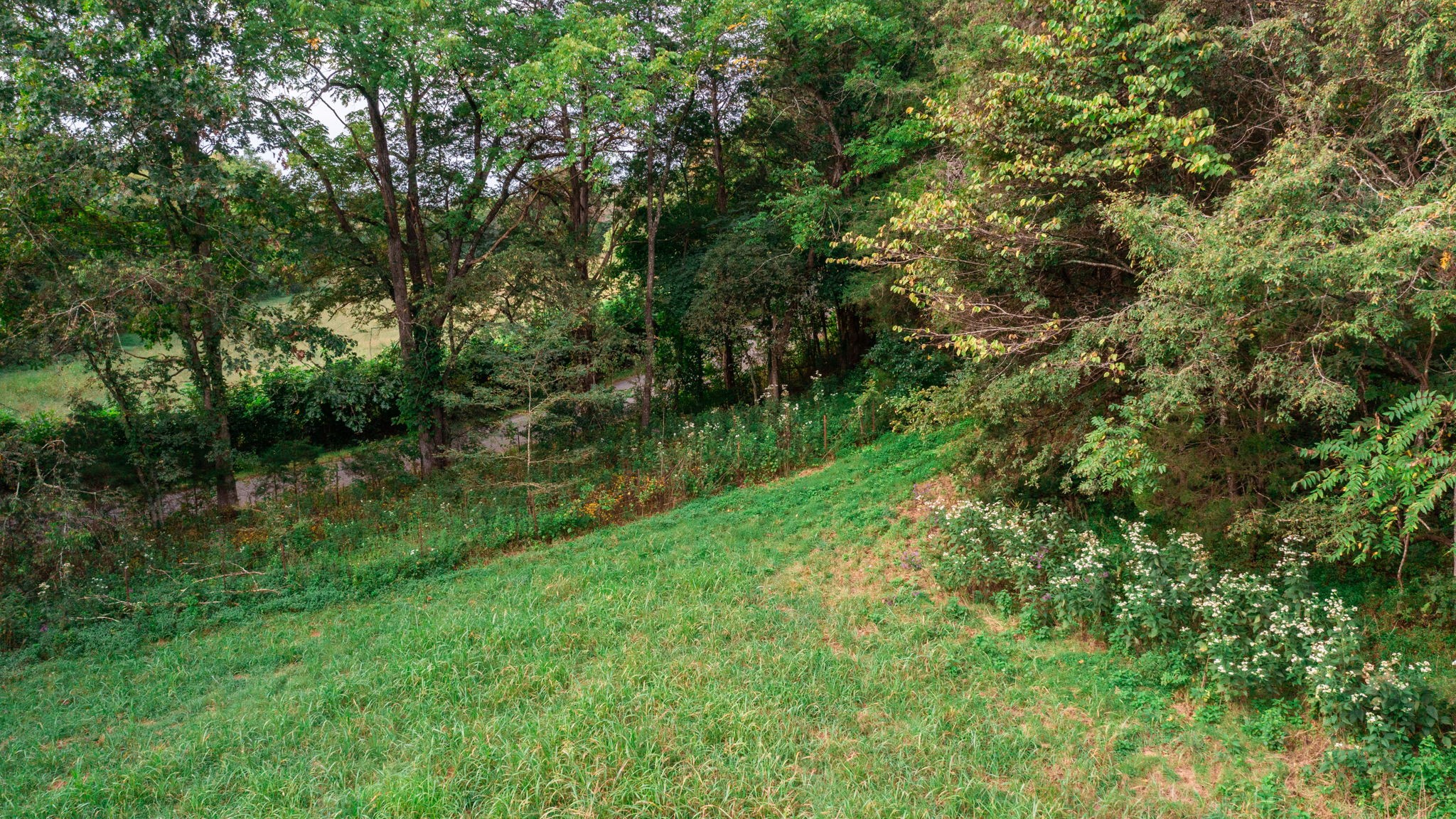 0 Incline Road Belvidere, TN 37306 - Photo 10 of 33