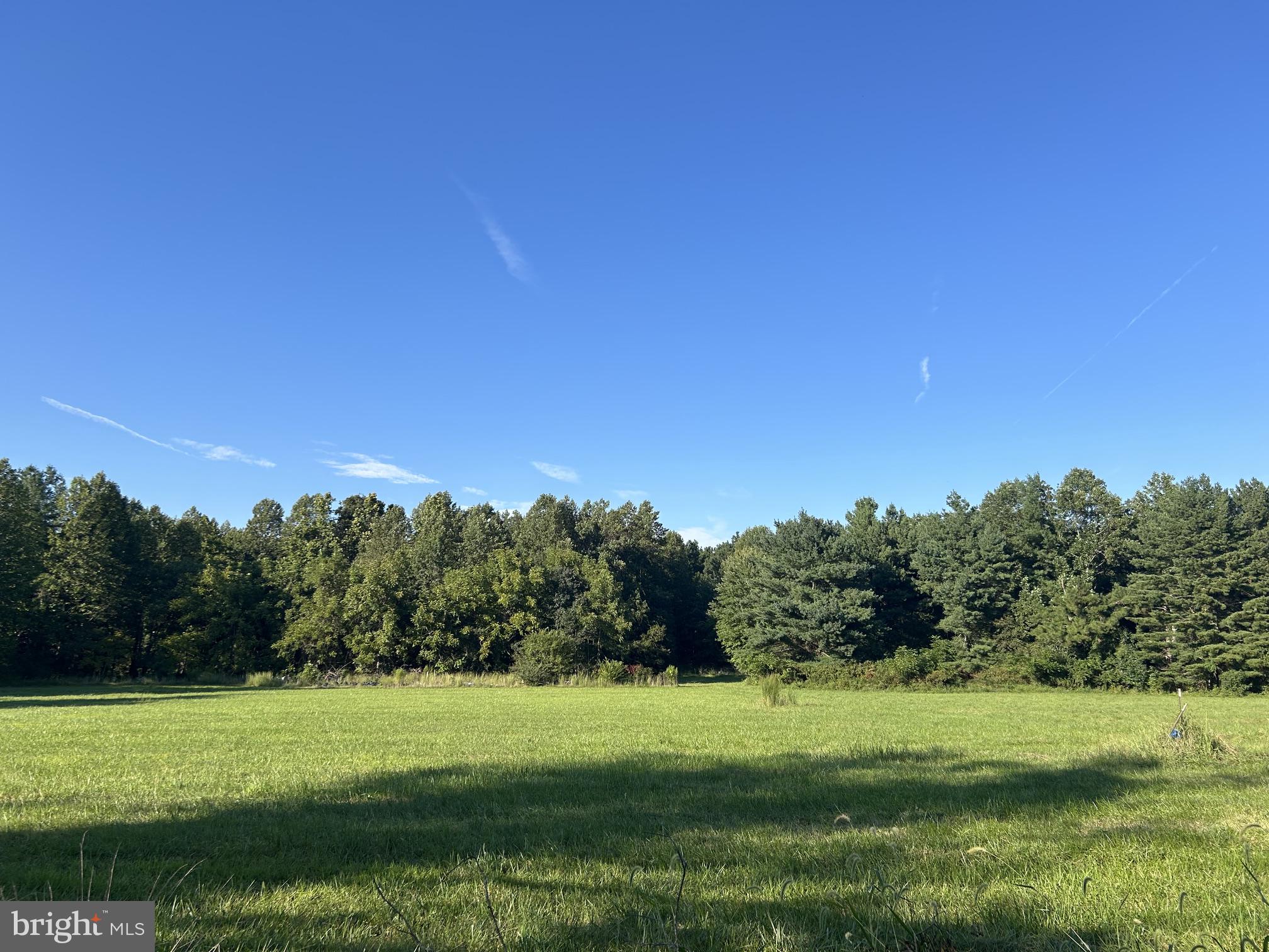 22078 Indian Bridge Road California, MD 20619 - Photo 22 of 27 Views of the back field; backs to state forest