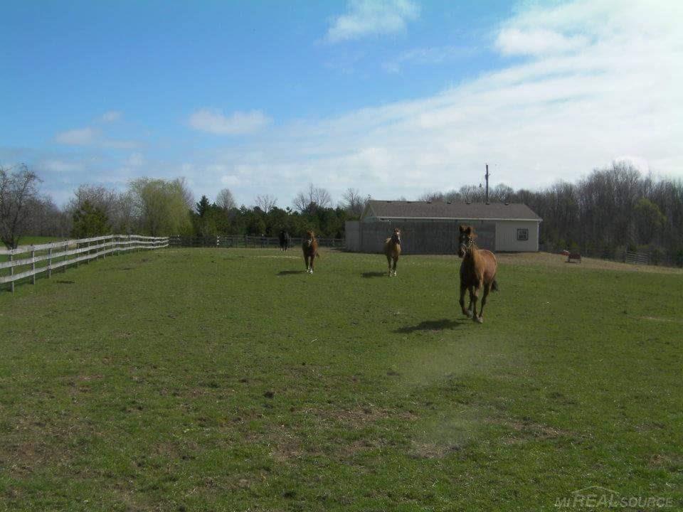6300 Aitken Road Croswell, MI 48422 - Photo 9 of 53