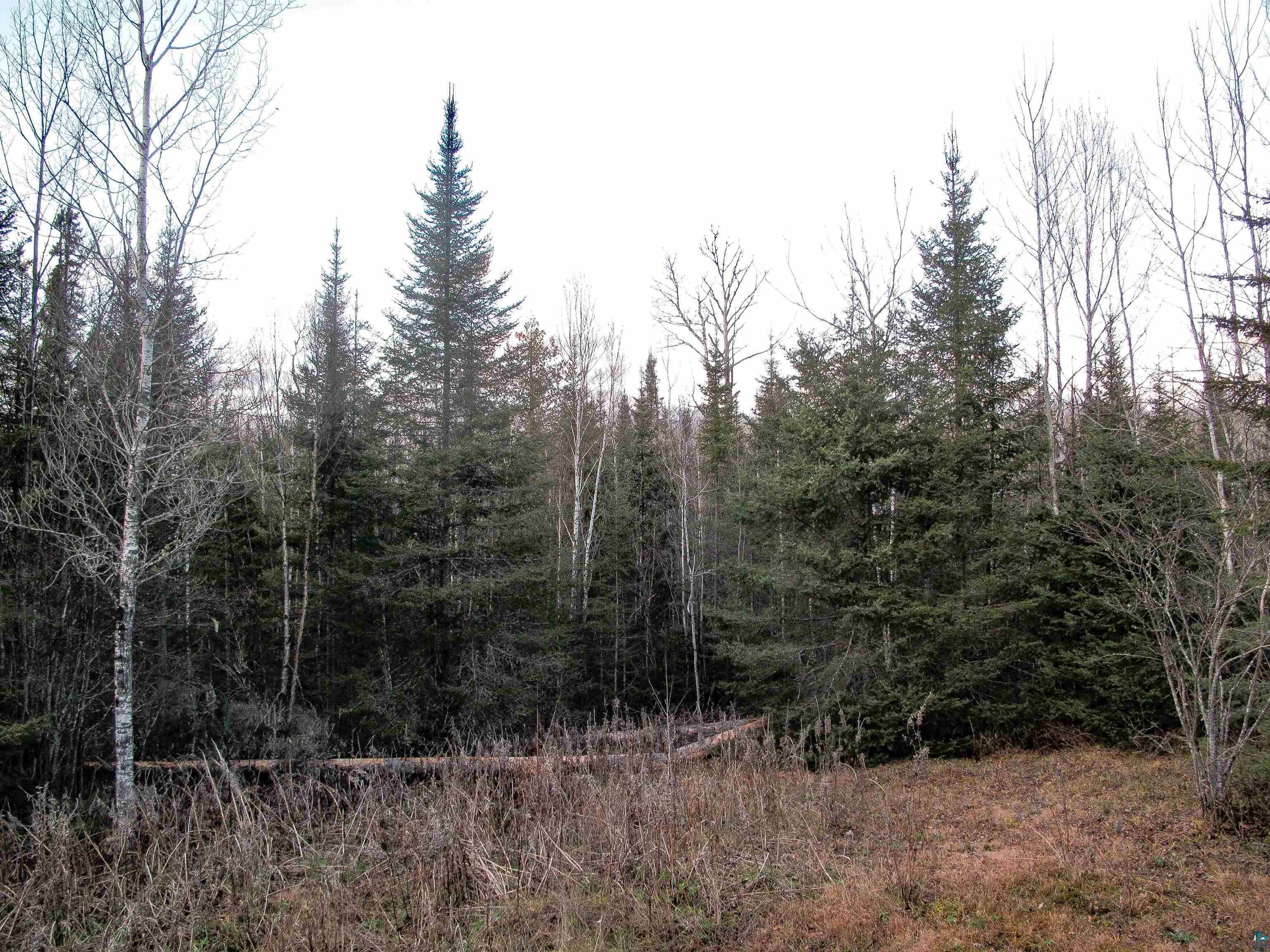 1248 Pike Lake Road Grand Marais, MN 55604 - Photo 35 of 50 Gallery Image 35