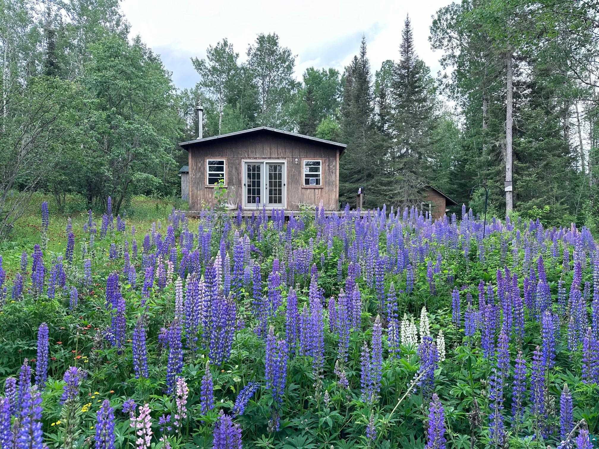 1248 Pike Lake Road Grand Marais, MN 55604 - Photo 43 of 50 Gallery Image 43