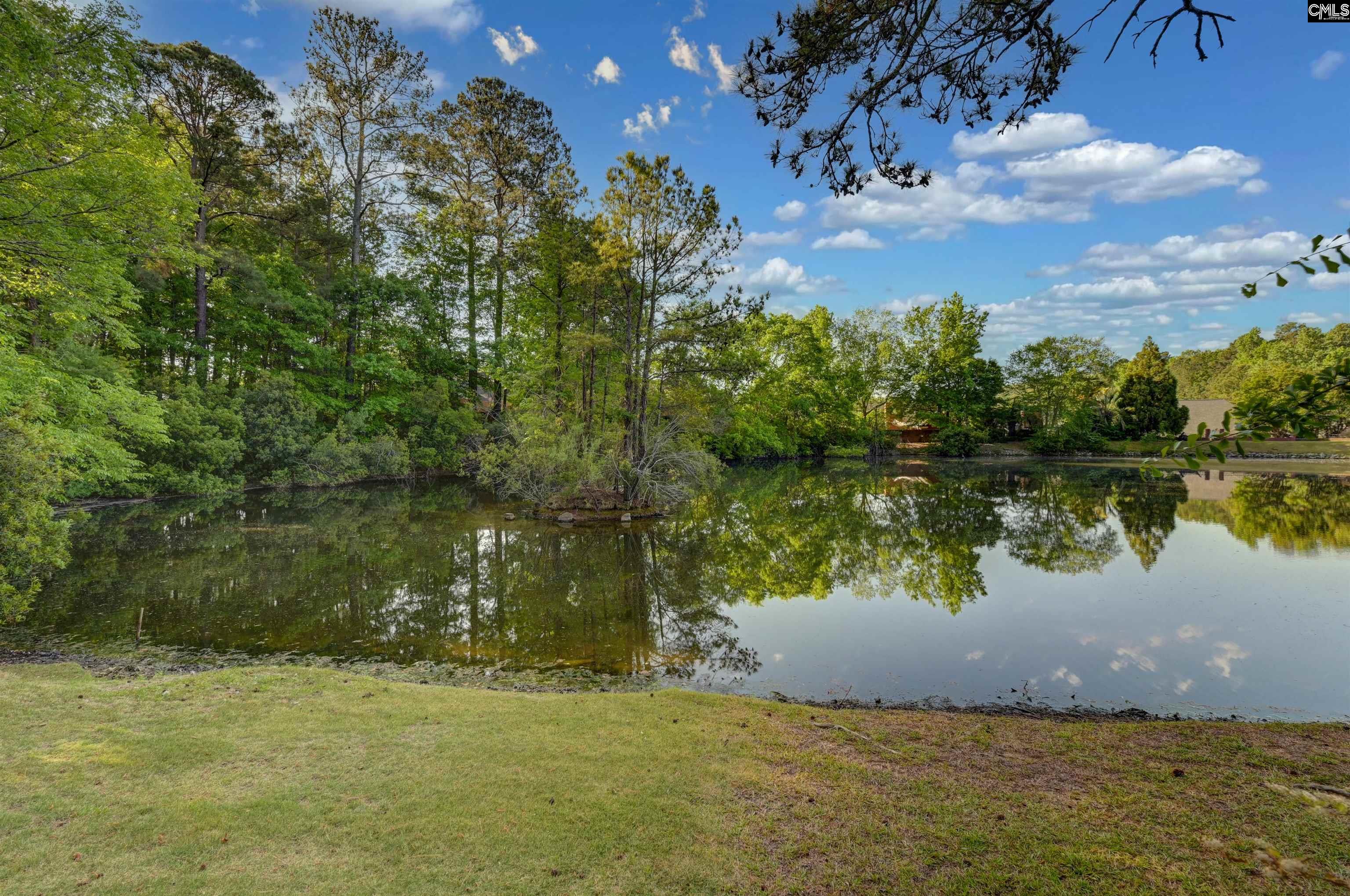 121 Wandering Brook Road Irmo, SC 29063 - Photo 12 of 47
