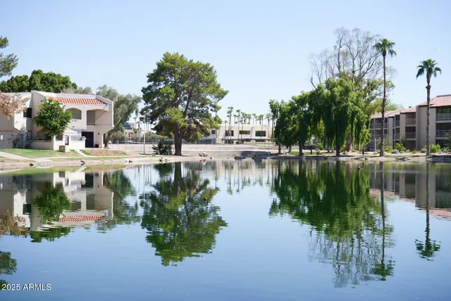 a view of a swimming pool with a lounge chairs