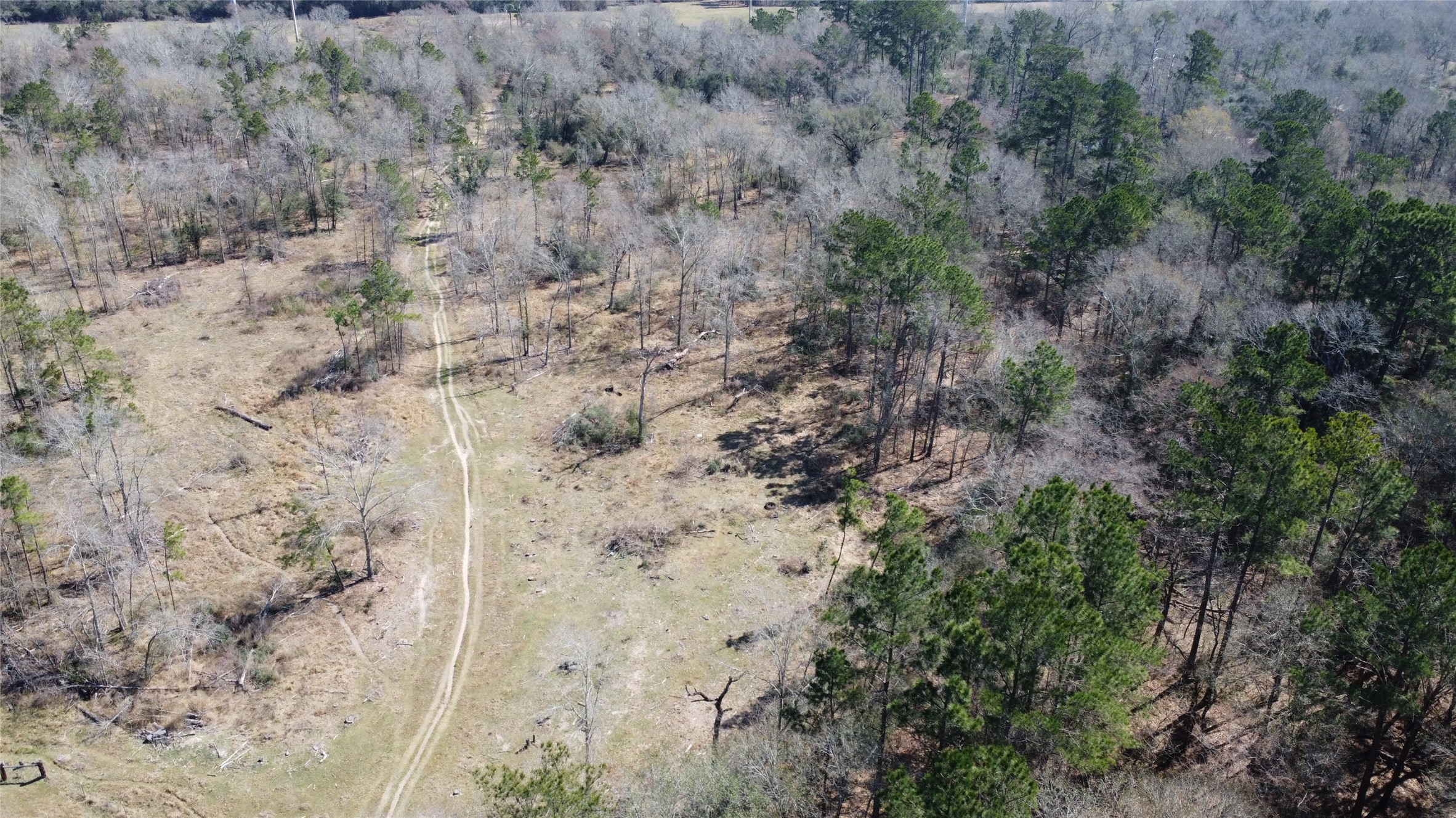 27002 Hegar Road Hockley, TX 77447 - Photo 11 of 17 a view of a dry in the yard