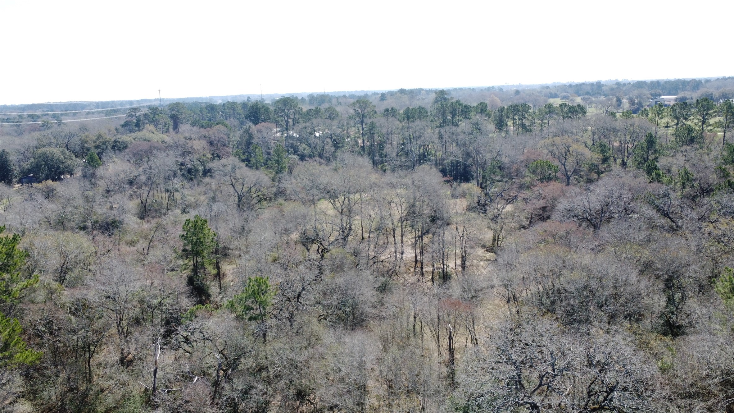 27002 Hegar Road Hockley, TX 77447 - Photo 15 of 17 a view of a dry field