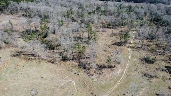 a view of a dry yard with green space