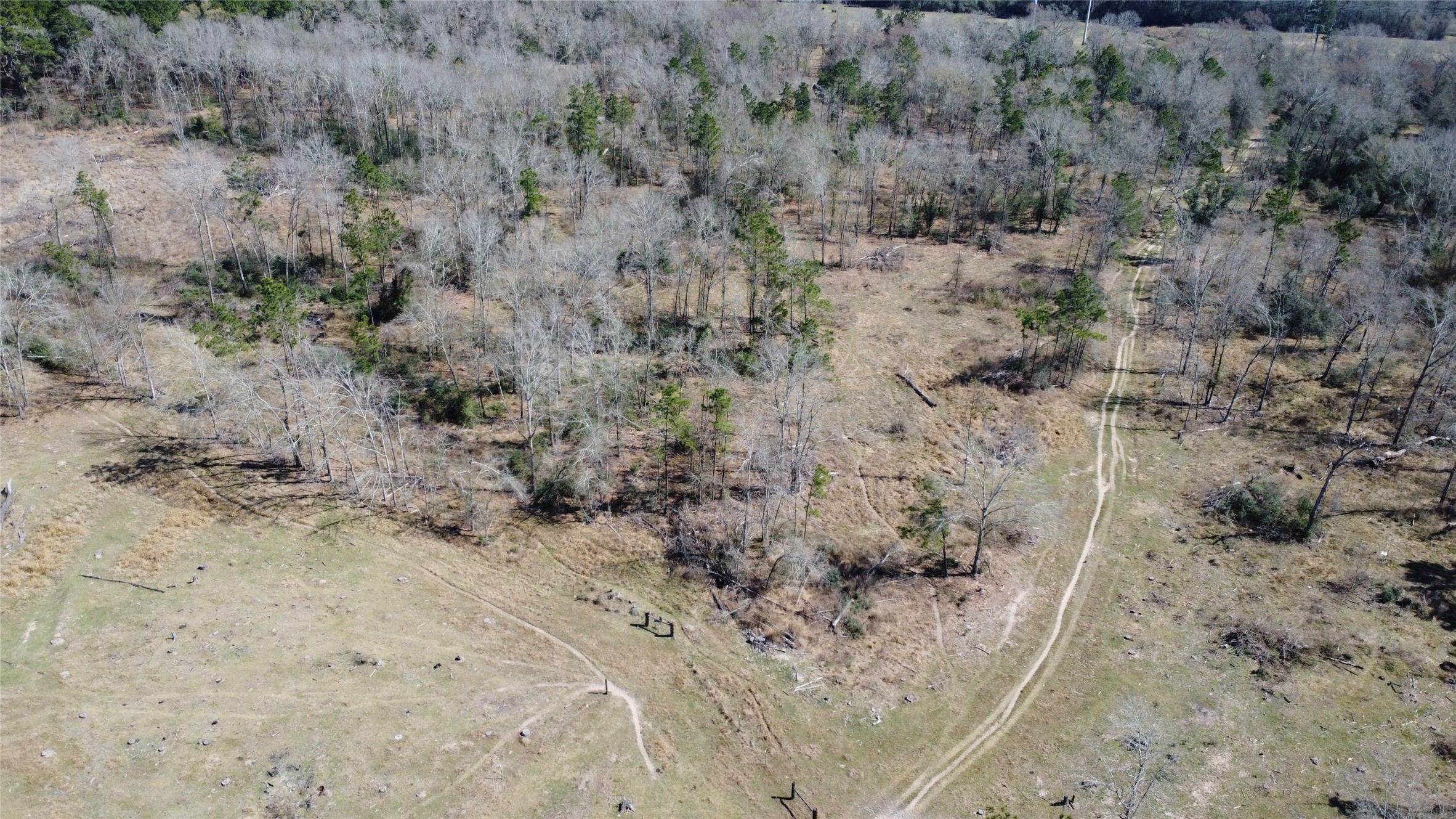 27002 Hegar Road Hockley, TX 77447 - Photo 16 of 17 a view of a dry yard with green space