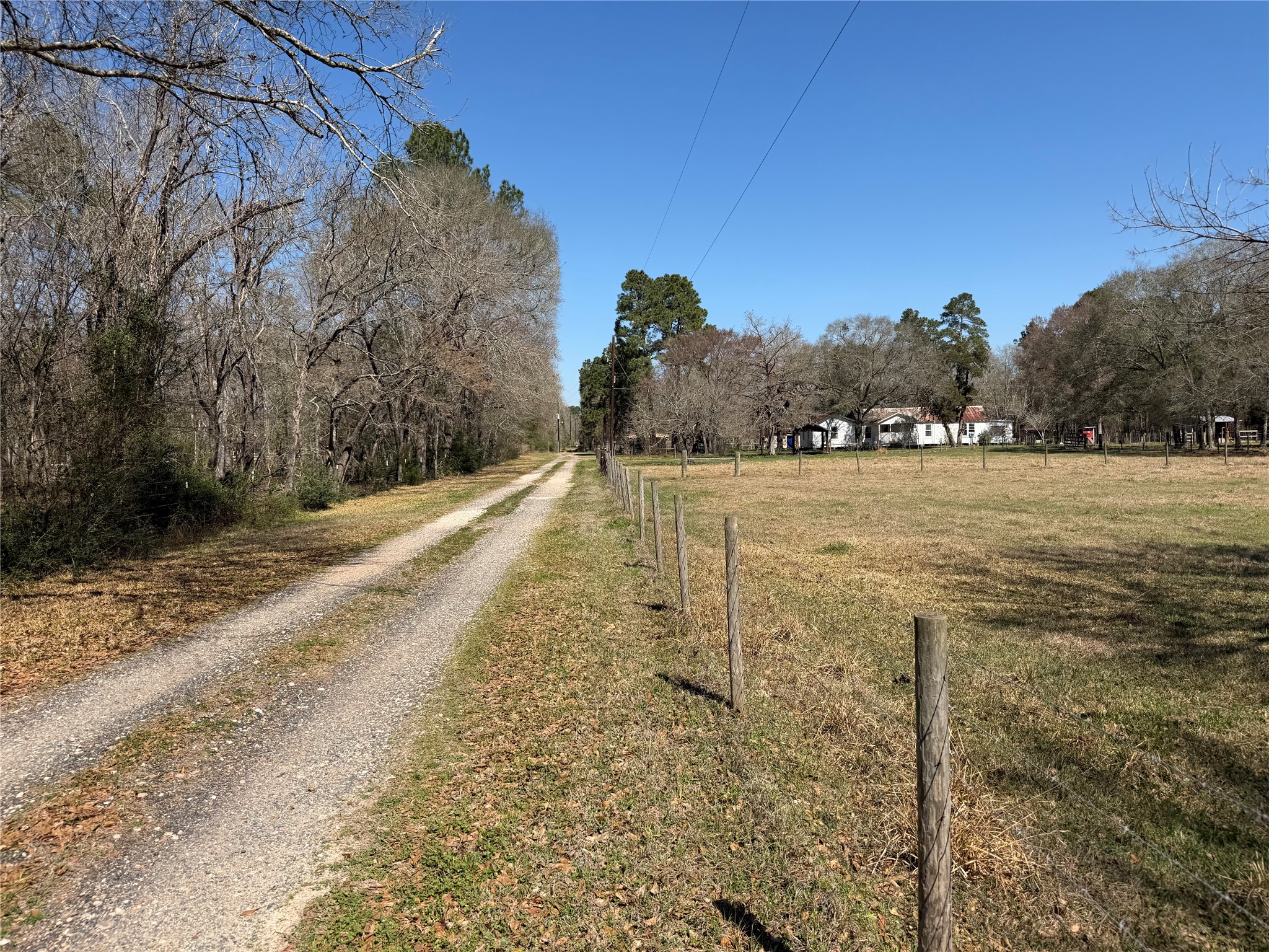 27002 Hegar Road Hockley, TX 77447 - Photo 2 of 17 a view of a yard with an ocean view