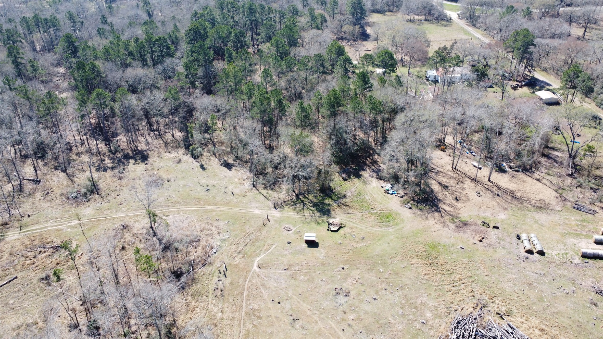 27002 Hegar Road Hockley, TX 77447 - Photo 4 of 17 a view of a dry yard with trees
