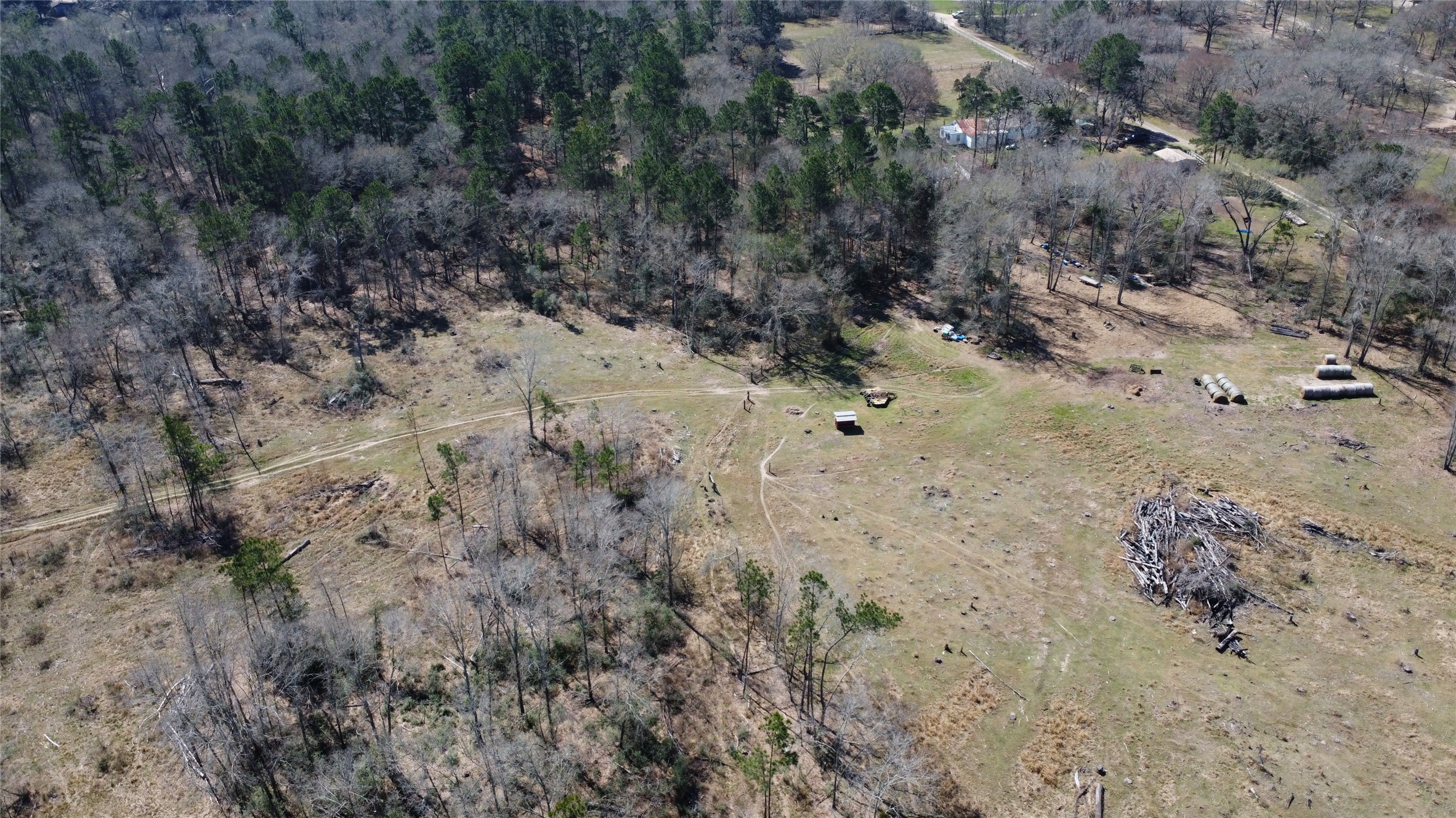 27002 Hegar Road Hockley, TX 77447 - Photo 5 of 17 a view of a dry yard