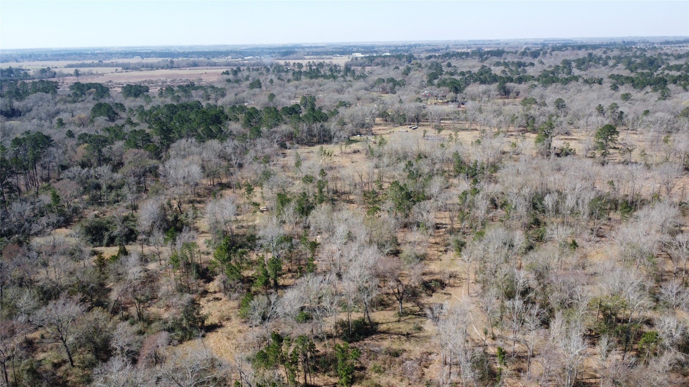 27002 Hegar Road Hockley, TX 77447 - Photo 6 of 17 a view of a dry field