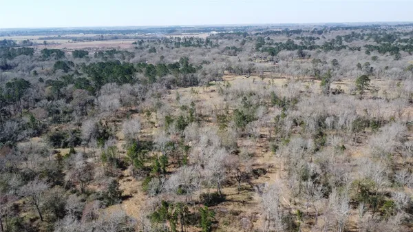 a view of a dry field