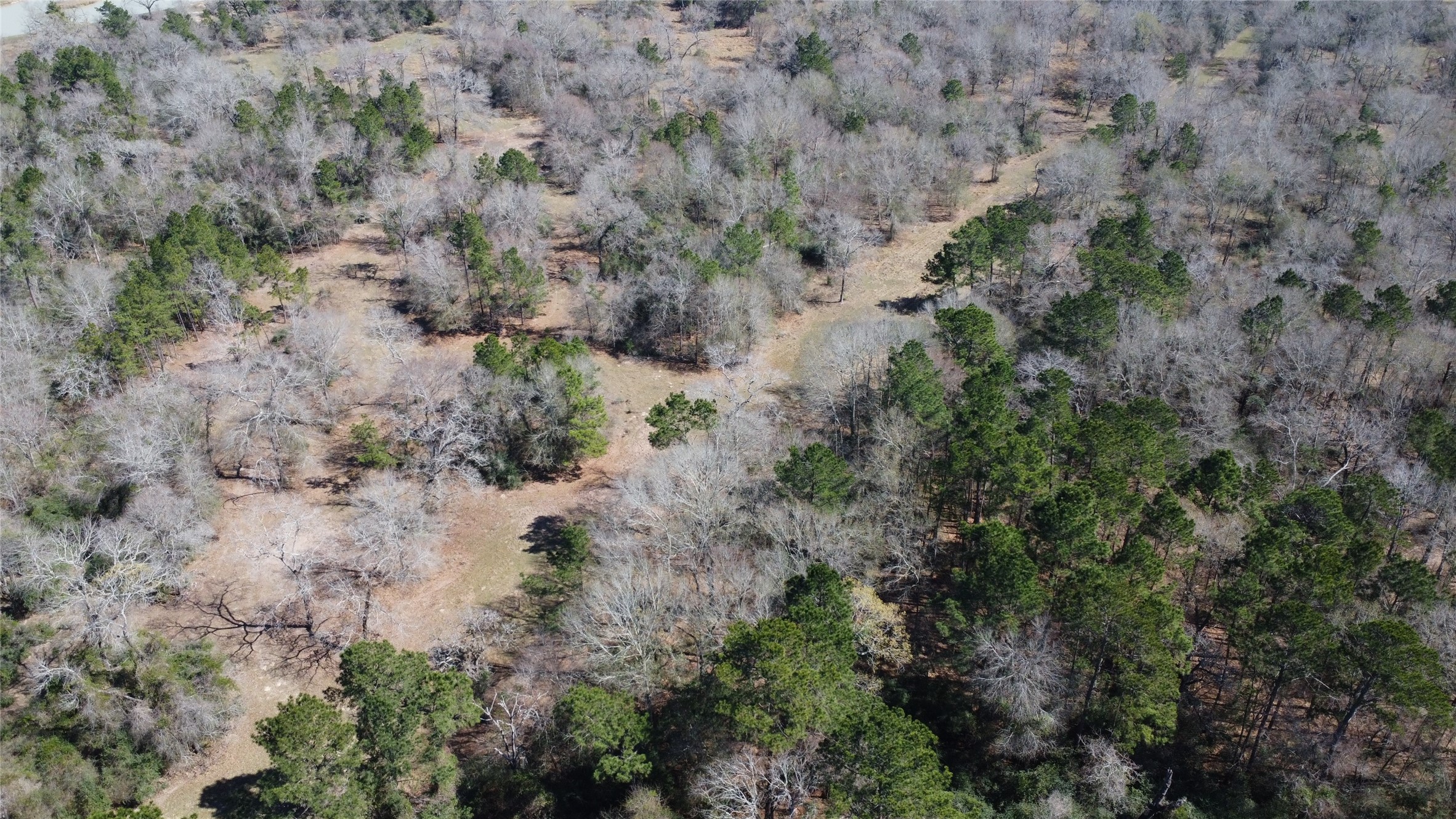 27002 Hegar Road Hockley, TX 77447 - Photo 10 of 17 an aerial view of house with yard