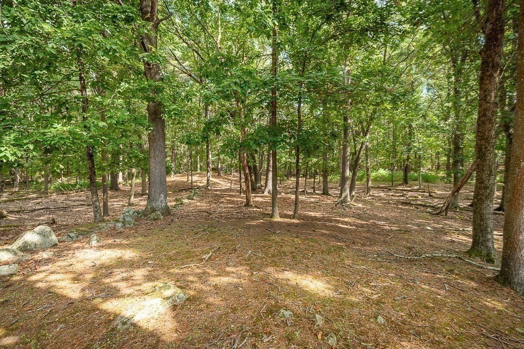 3 Ipswich Road Boxford, MA 01921 - Photo 35 of 37 a view of a forest with trees in the background