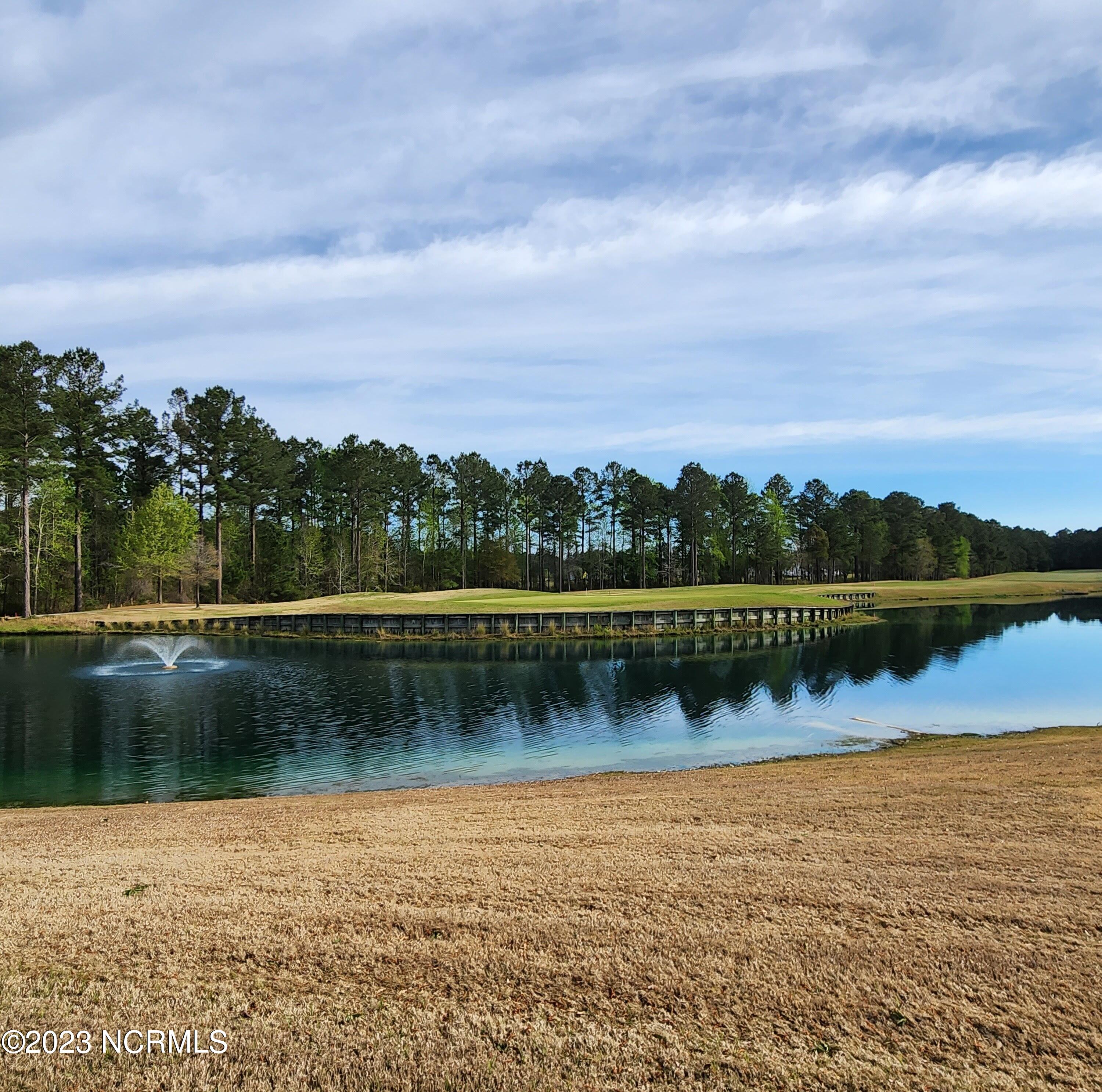 3008 Verdant Ridge New Bern, NC 28562 - Photo 9 of 13 Hole #9