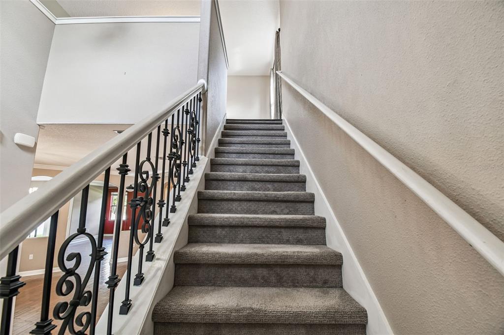 11737 Crestridge Loop New Port Richey, FL 34655 - Photo 36 of 100