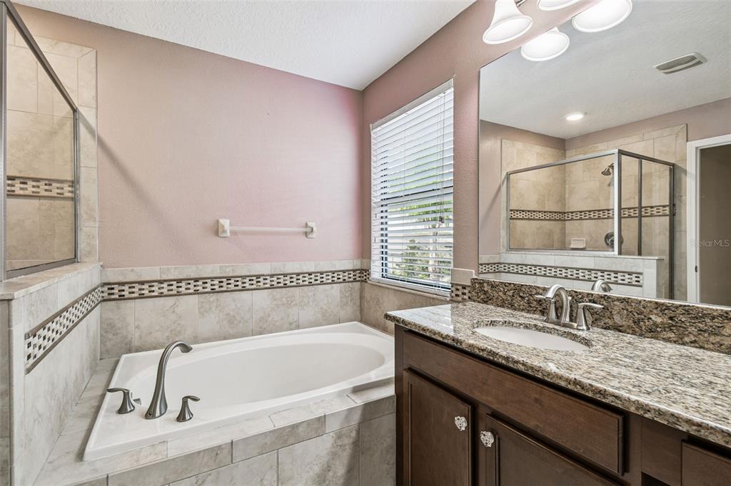 11737 Crestridge Loop New Port Richey, FL 34655 - Photo 52 of 100 a bathroom with a bathtub and a sink