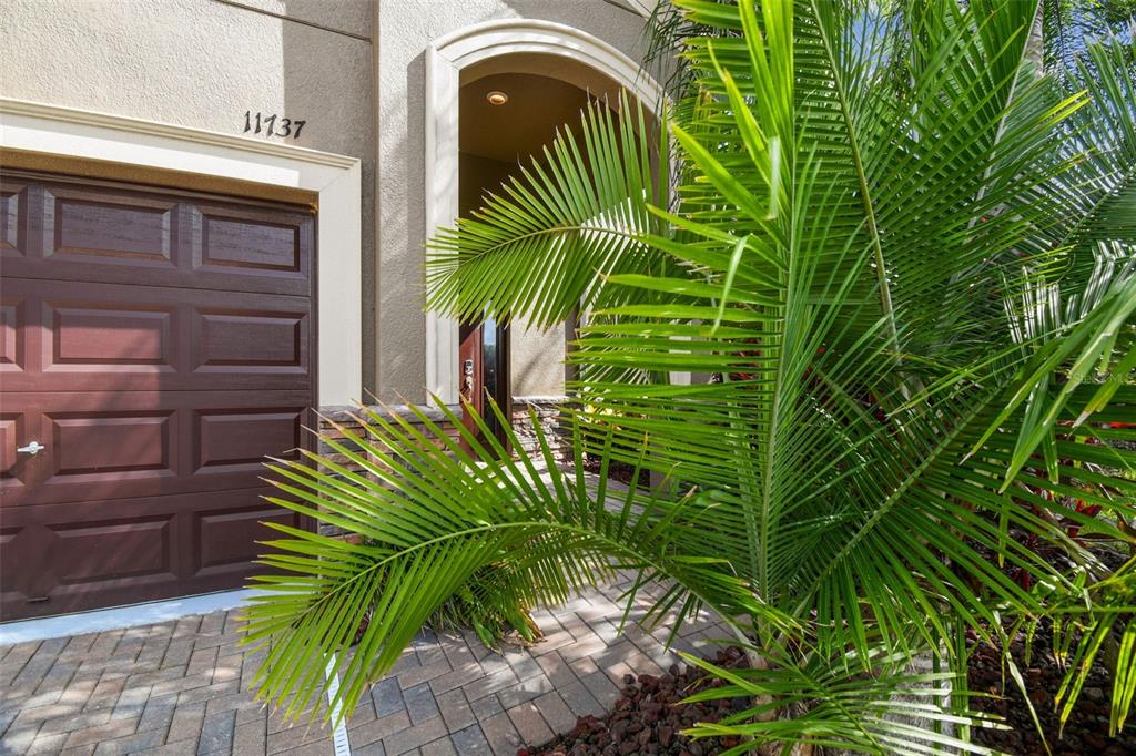 11737 Crestridge Loop New Port Richey, FL 34655 - Photo 7 of 100