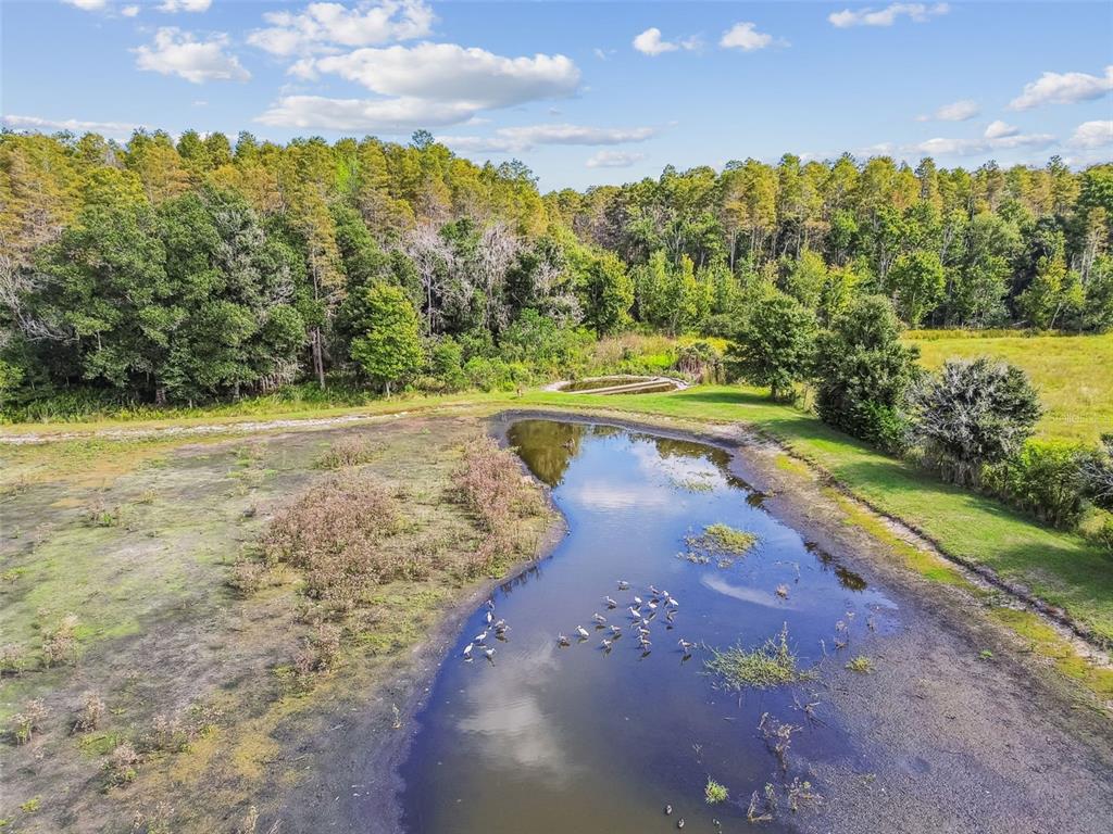 11737 Crestridge Loop New Port Richey, FL 34655 - Photo 74 of 100 a view of a lake with a mountain in the background