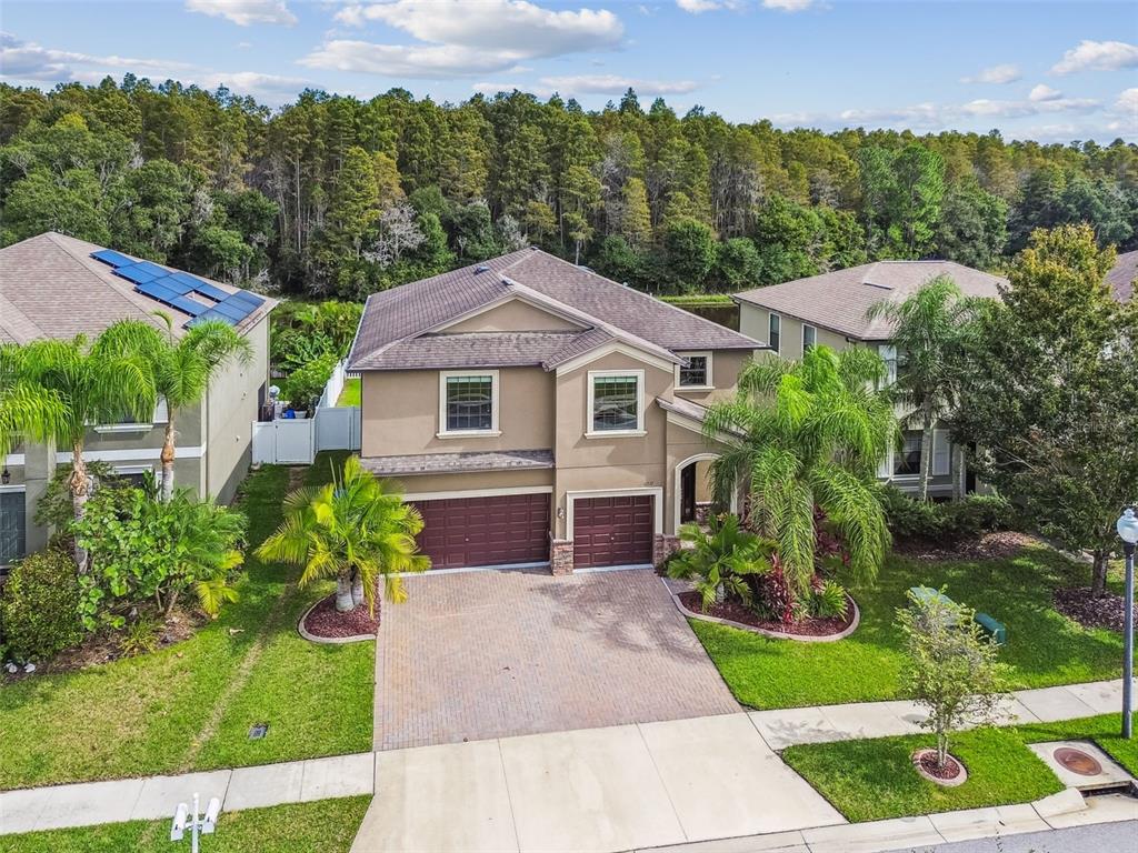 11737 Crestridge Loop New Port Richey, FL 34655 - Photo 84 of 100