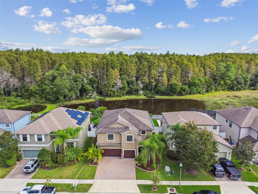 11737 Crestridge Loop New Port Richey, FL 34655 - Photo 85 of 100