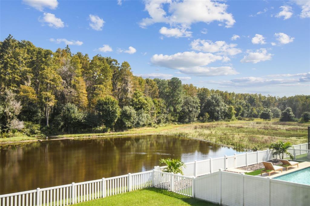 11737 Crestridge Loop New Port Richey, FL 34655 - Photo 100 of 100 a view of a lake from a balcony