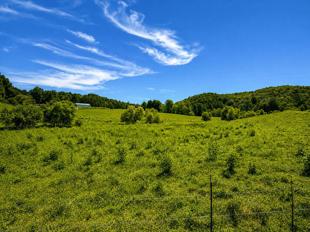 0 Sunny Point Road Murphy, NC 28906 - Photo 9 of 12 Gallery Image 9
