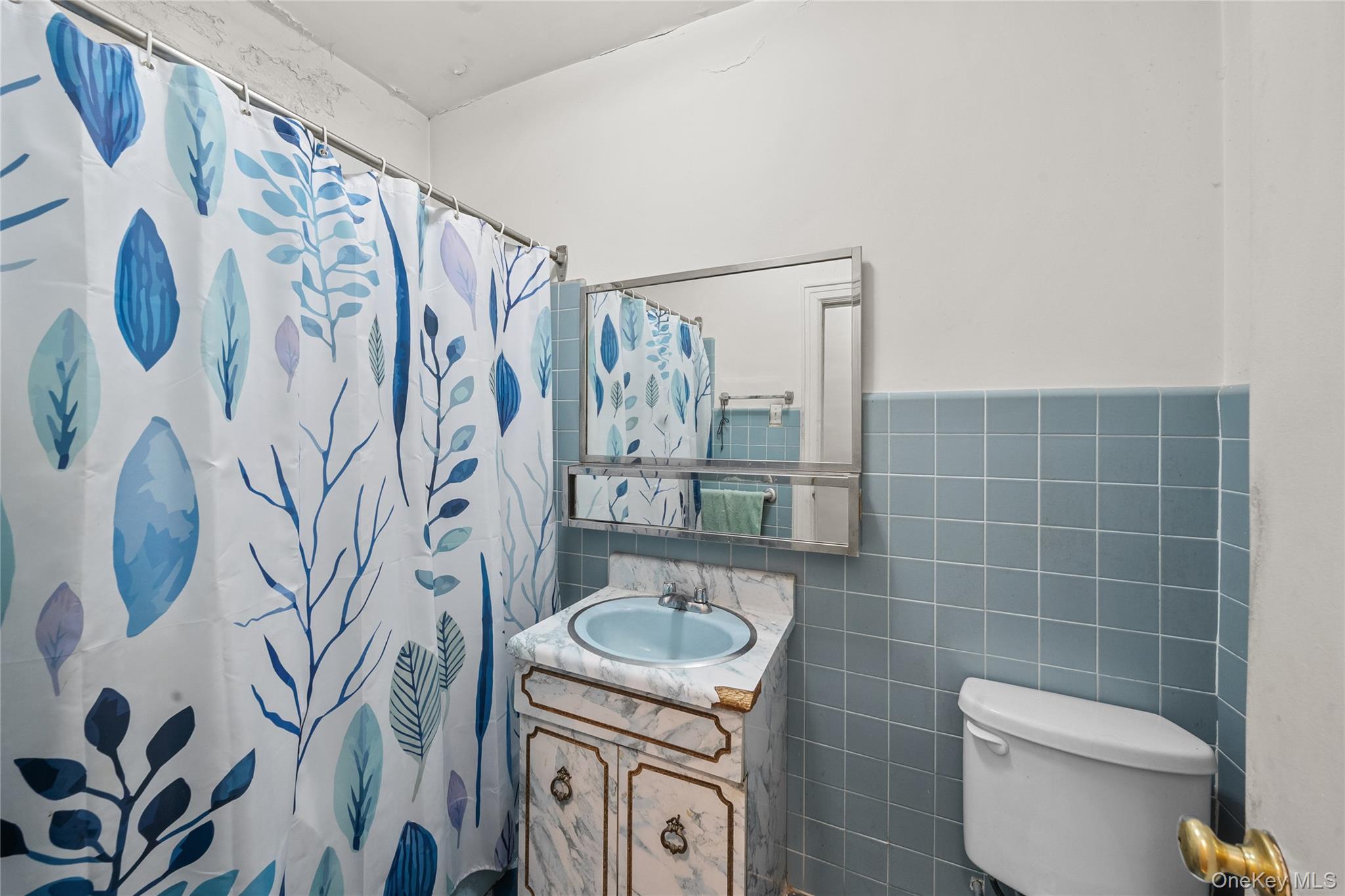 39-27 57th Street Queens, NY 11377 - Photo 13 of 35 a bathroom with a toilet a sink and a mirror