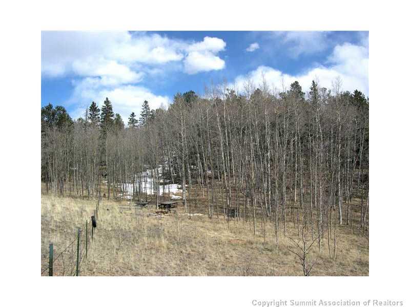 245 Osprey Road Como, CO 80432 - Photo 12 of 19