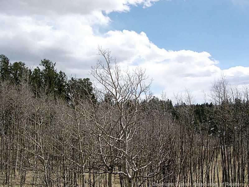 245 Osprey Road Como, CO 80432 - Photo 14 of 19 a view of a city with lush green forest