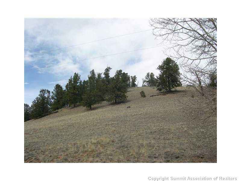 245 Osprey Road Como, CO 80432 - Photo 15 of 19 a view of a dry yard with trees