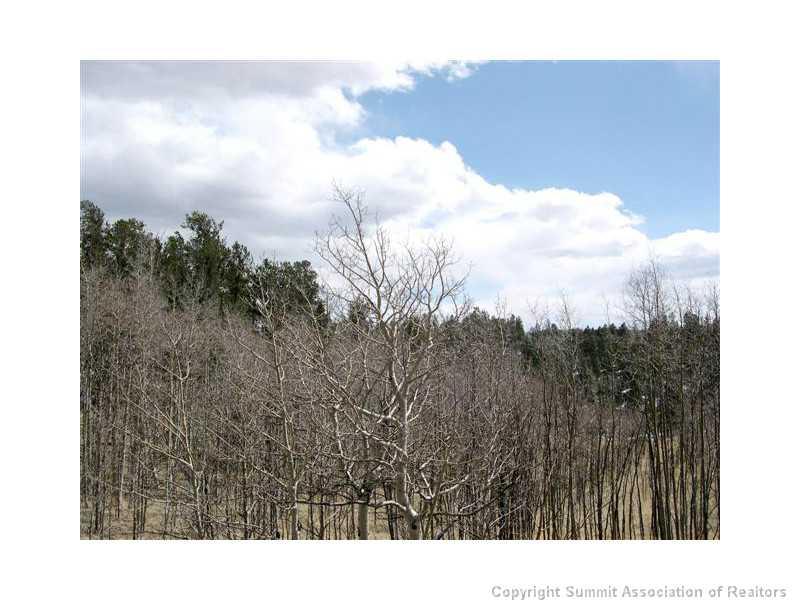 245 Osprey Road Como, CO 80432 - Photo 16 of 19 a view of a sky