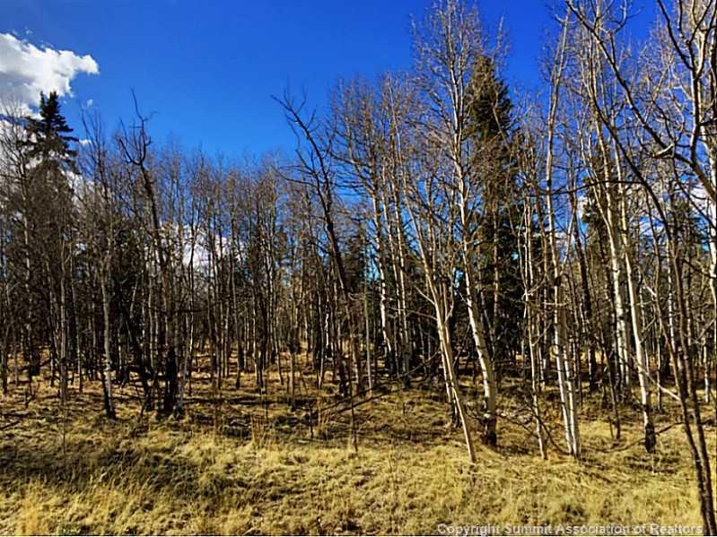 245 Osprey Road Como, CO 80432 - Photo 18 of 19 a view of outdoor space with trees